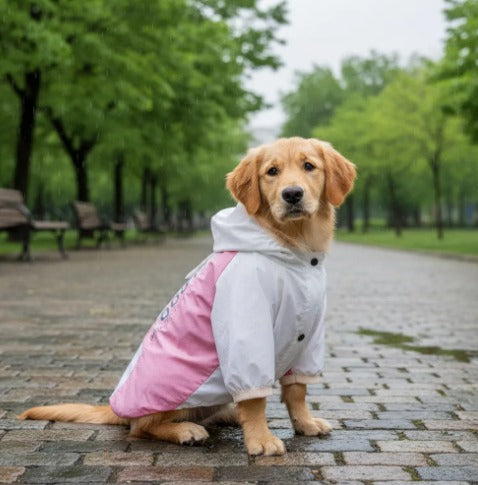 🐾Piloto Outdoor🐾