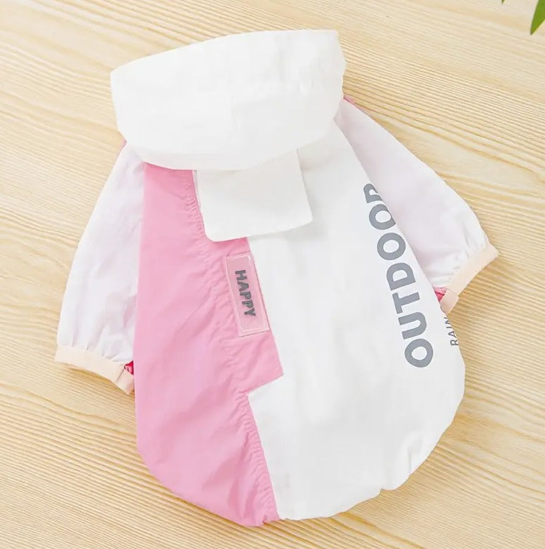 🐾Piloto Outdoor🐾