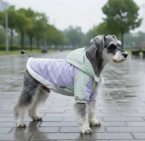 🐾Piloto Outdoor🐾