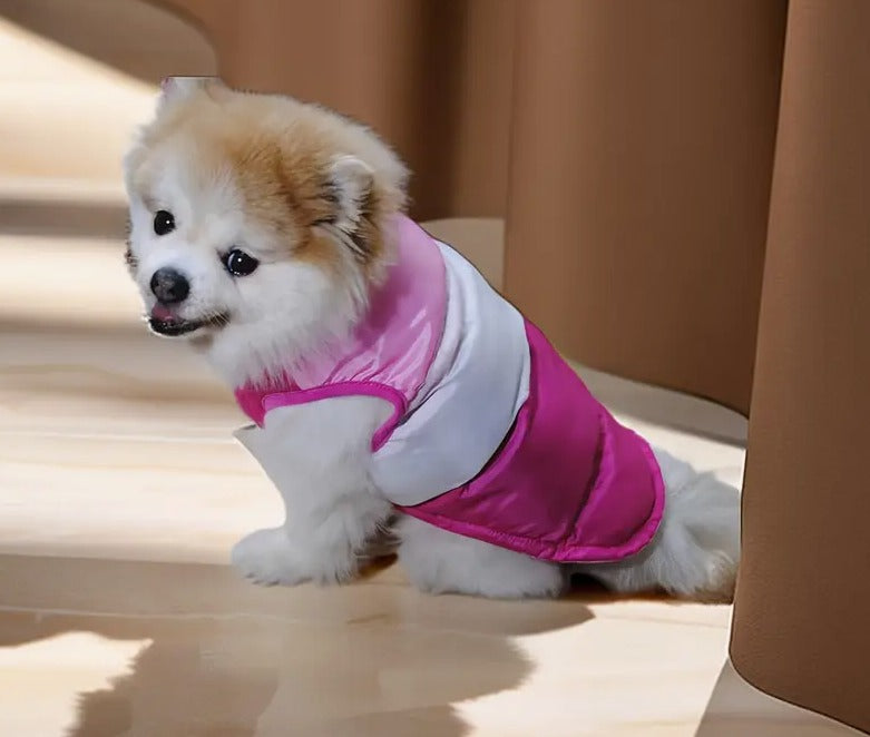 🐾Chaleco winter🐾