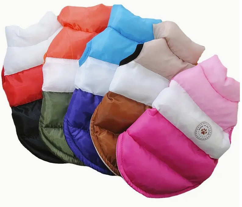 🐾Chaleco winter🐾