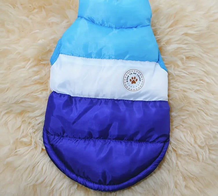 🐾Chaleco winter🐾