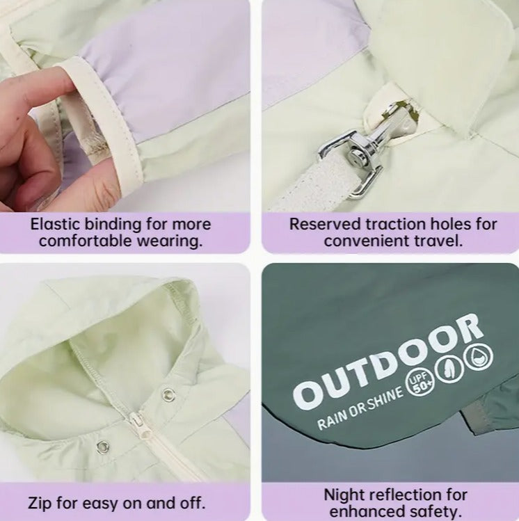 🐾Piloto Outdoor🐾