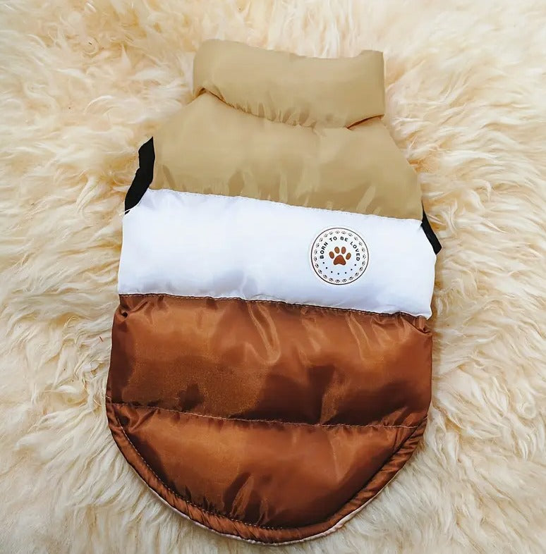 🐾Chaleco winter🐾