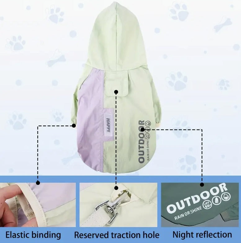 🐾Piloto Outdoor🐾