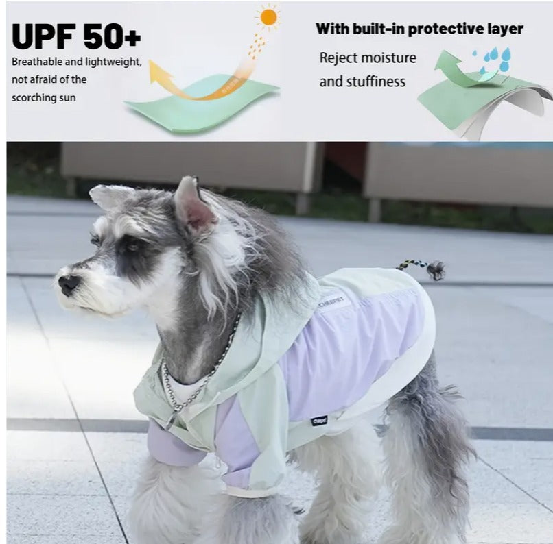 🐾Piloto Outdoor🐾