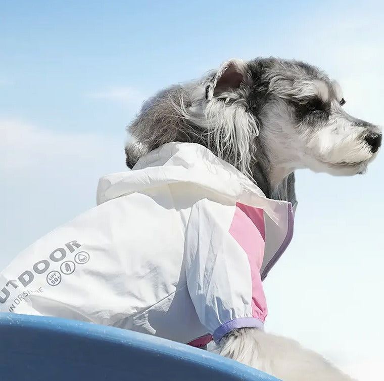 🐾Piloto Outdoor🐾