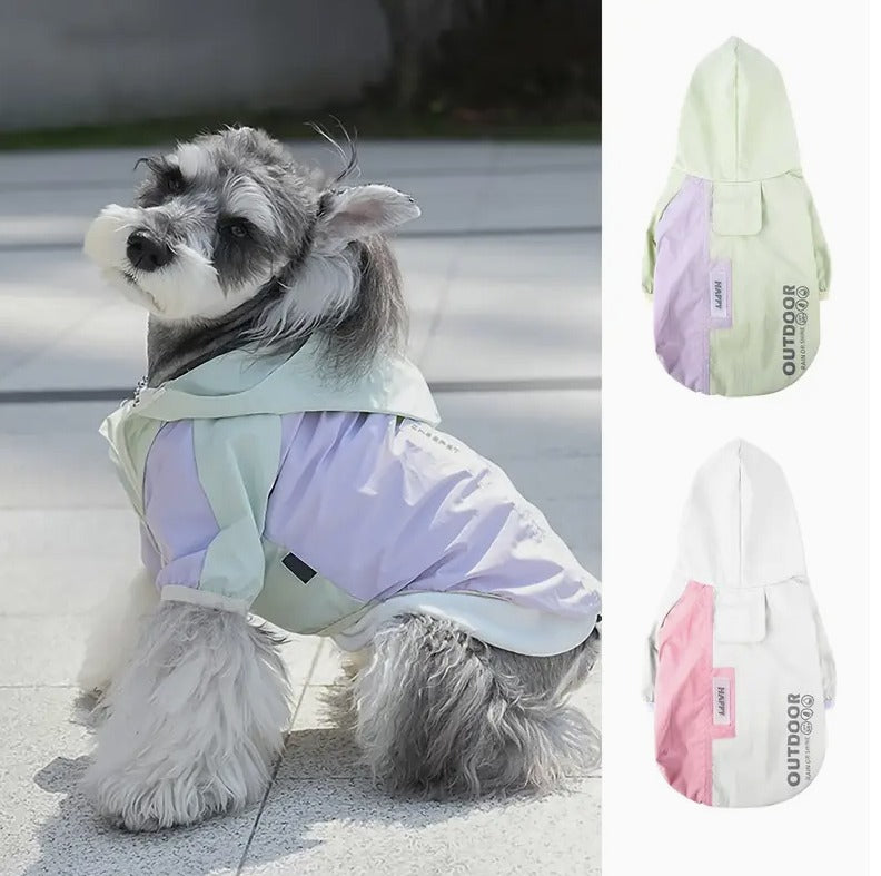 🐾Piloto Outdoor🐾