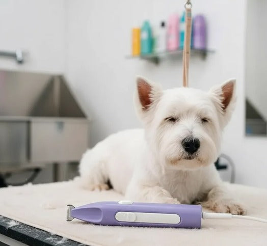 🐾Cortadora de pelo look🐾